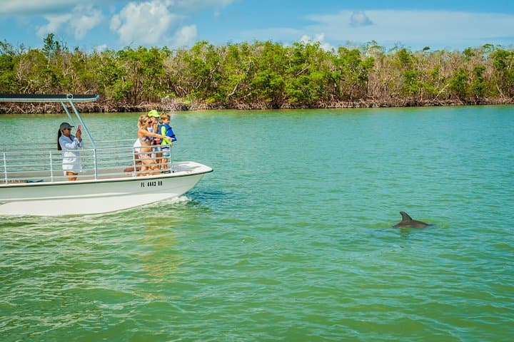 Marco Island Dolphin Sightseeing Tour: 2-Hour Ten Thousand Islands Cruise photo 3