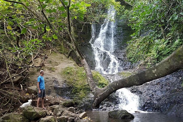 Oahu Full-Day Bike, Hike, Sail & Snorkel Combo — Rainforest to Reef photo 1