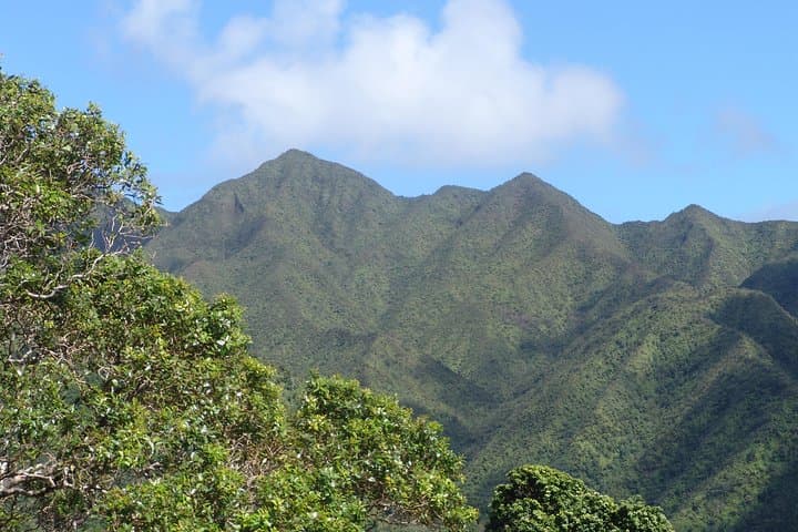 Manoa Valley Volcanic Rainforest Hike — Guided Oahu Adventure photo 5