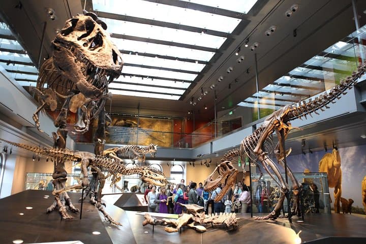 Explore the Natural History Museum of Los Angeles County: Dino Halls, Gems & Nature Gardens