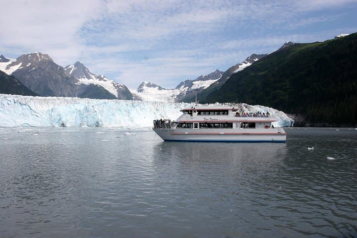 Meares Glacier Cruise from Valdez: Glacier Faces, Whales & Prince William Sound Wildlife