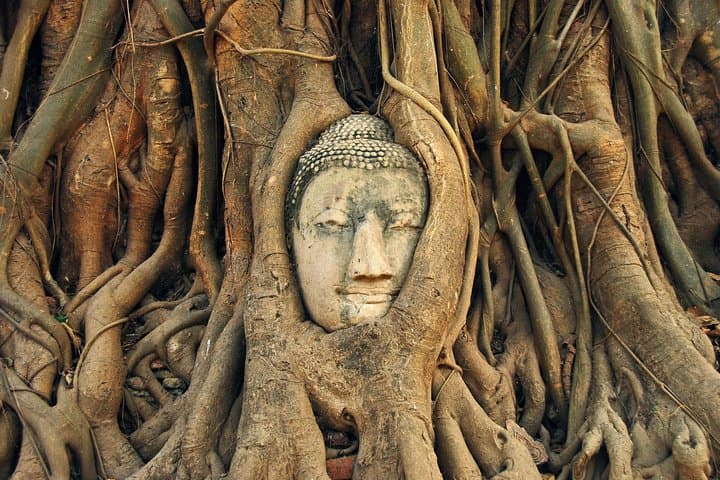 Ayutthaya Landmarks, Floating Market & ATV Adventure photo 4