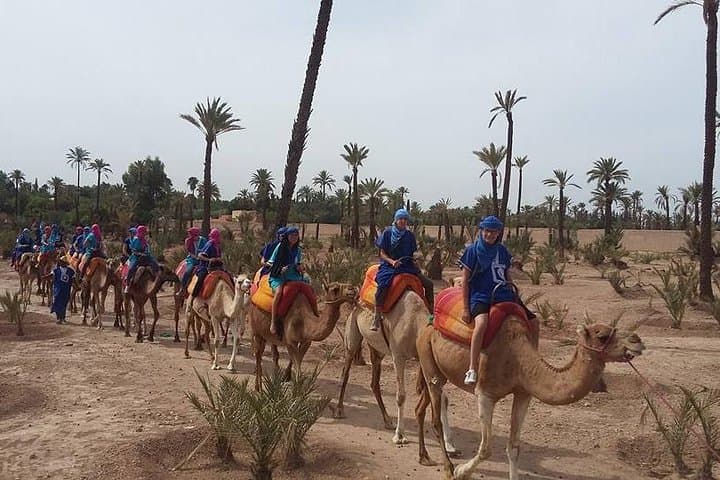 Palmeraie Camel Ride: 30-Minute Oasis Experience from Marrakech photo 4
