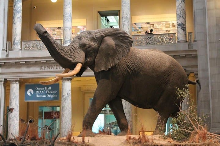 Exploring Nairobi: National Museum, Giraffe Centre & Nairobi National Park Safari Tour photo 2