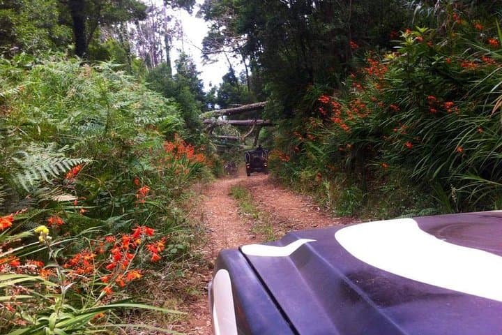 Madeira West Jeep Safari: Fanal Forest, Cabo Girão & Porto Moniz Pools photo 3