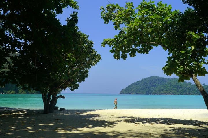 Surin Islands Snorkeling Day Trip from Phuket — Sea Turtles, Moken Village & Clear Water photo 2