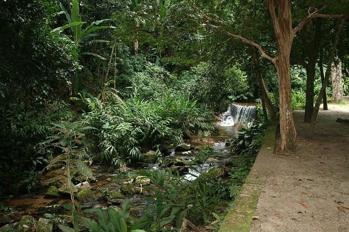 Jeep Tour: Rio Botanical Garden & Tijuca Rainforest Adventure photo 2