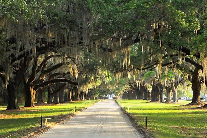 Myrtle Beach to Charleston Day Trip: Carriage Ride, Harbor Cruise & Boone Hall photo 3