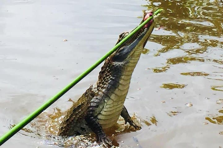 Ecuador Treasures: 8-Day Adventure from Quito to the Amazon photo 5