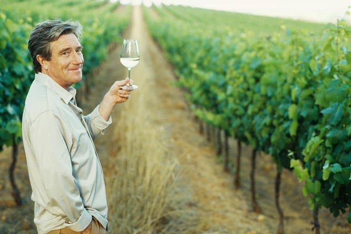 Full-Day Douro Valley Wine Tour from Porto with Pinhão River Cruise and Lunch photo 3
