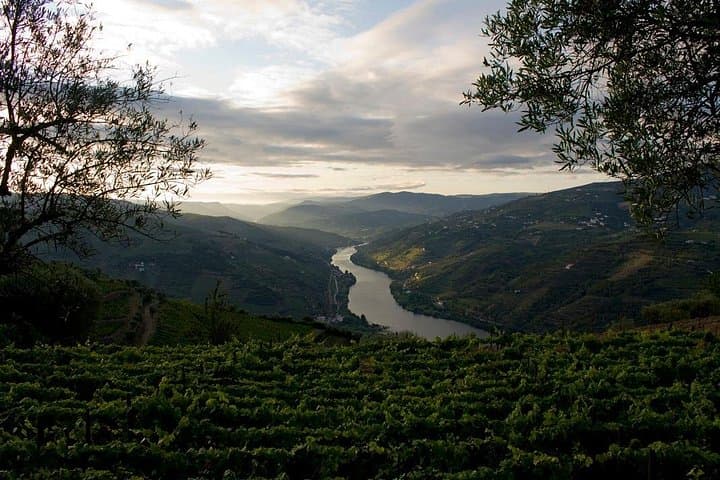 Full-Day Douro Valley Wine Tour from Porto with Pinhão River Cruise and Lunch photo 2