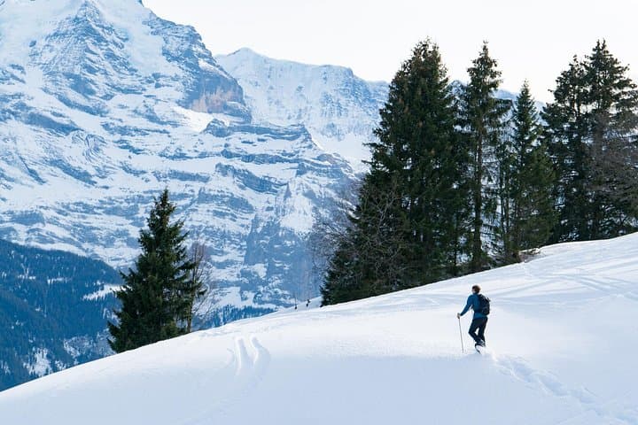 Snowshoe Tour from Interlaken: Alpine Forests Below the Eiger, Mönch & Jungfrau photo 5