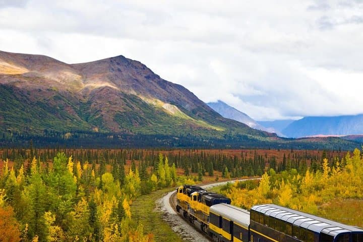 Denali to Anchorage: Alaska Railroad Scenic One-Way Journey