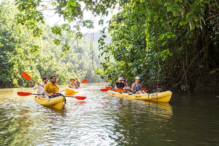 Wailua River Paddle: Guided Kayak Tour on Kauai’s Sacred Waterway photo 2