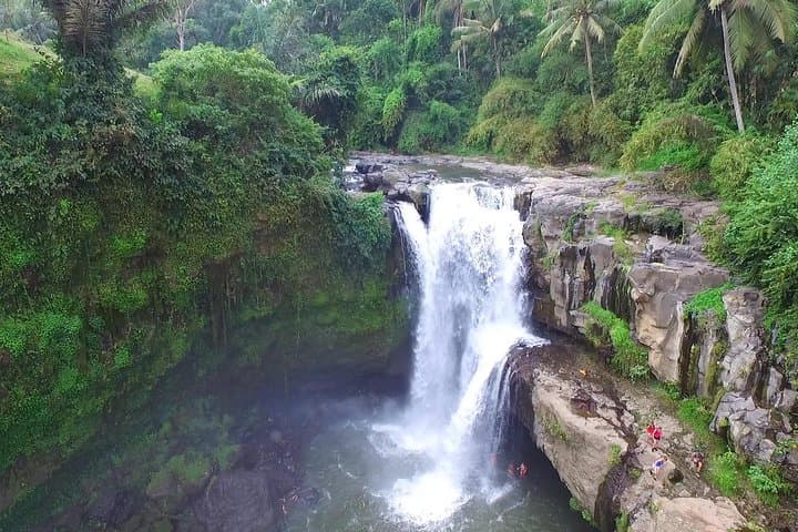Ubud Experience: Full-Day Countryside Tour of Rice Terraces, Temples & Coffee photo 5