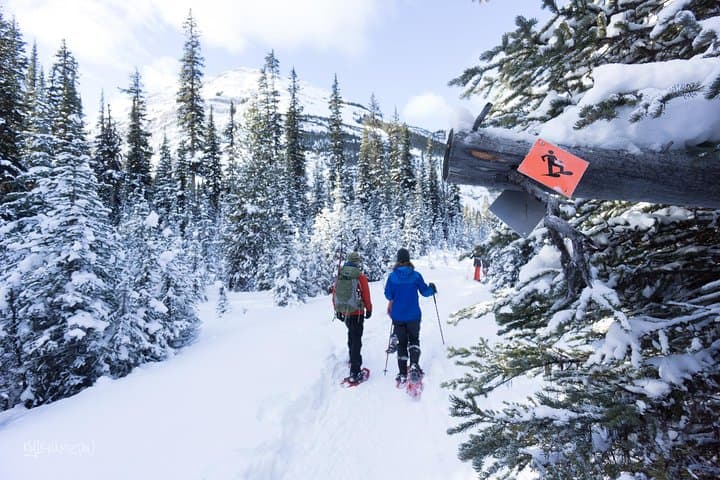 Snowshoeing in Kananaskis: Guided 2-Hour Winter Walk from Nakiska