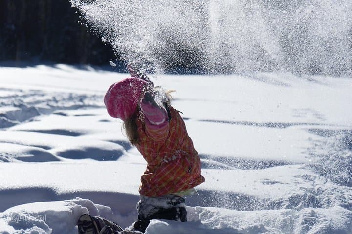 Snowshoeing in Kananaskis: Guided 2-Hour Winter Walk from Nakiska photo 2