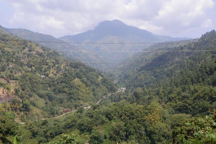 Blue Mountain Tour from Ocho Rios — 4,000‑Foot Scenic Drive & Coffee Country