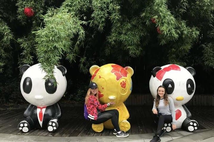 Morning at Chengdu Panda Base: See Giant Pandas at Their Most Active