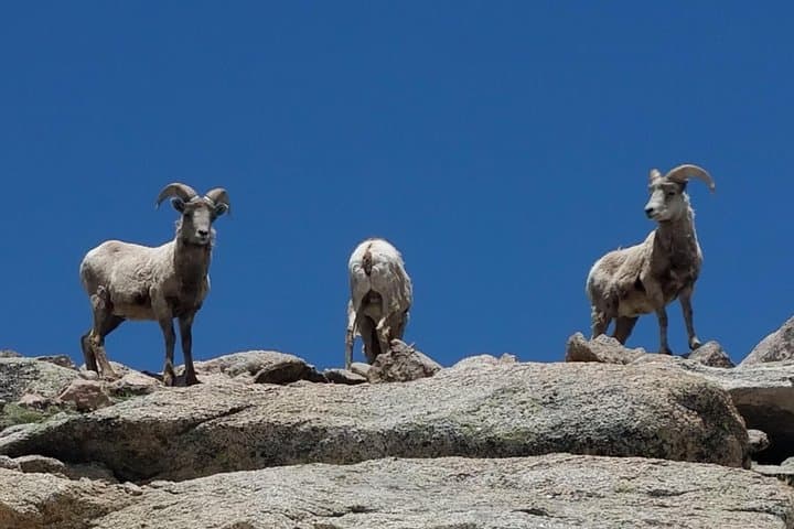 Conquer Mount Blue Sky: Summit the Highest Paved Road in North America and Explore Alpine Glacial Lakes photo 3