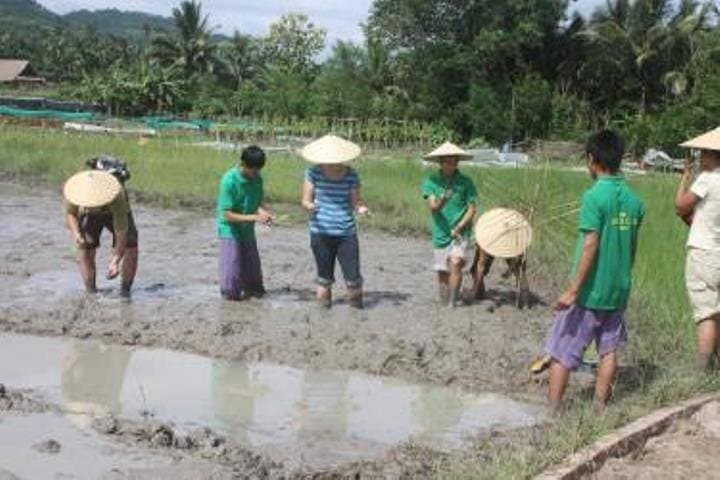 Half-Day Rural Farm Experience Near Luang Prabang with Traditional Lunch photo 2