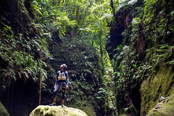 Canyoning Experience in Dominica: Guided Rainforest Gorge Adventure photo 2