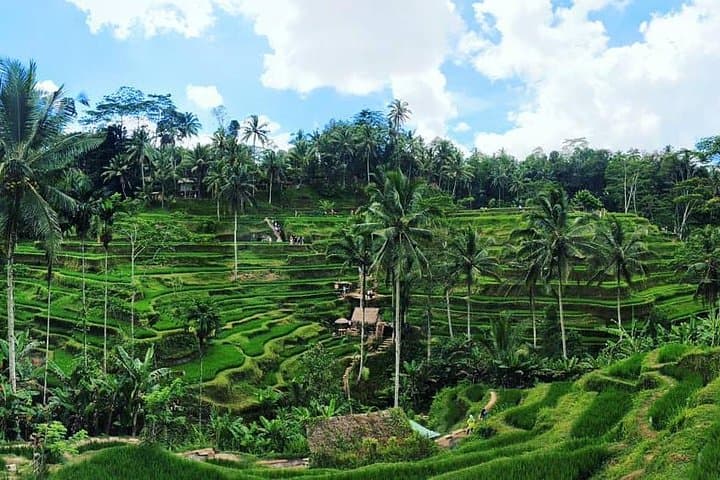 Ubud to Tanah Lot: Private Romantic Bali Day Tour photo 6
