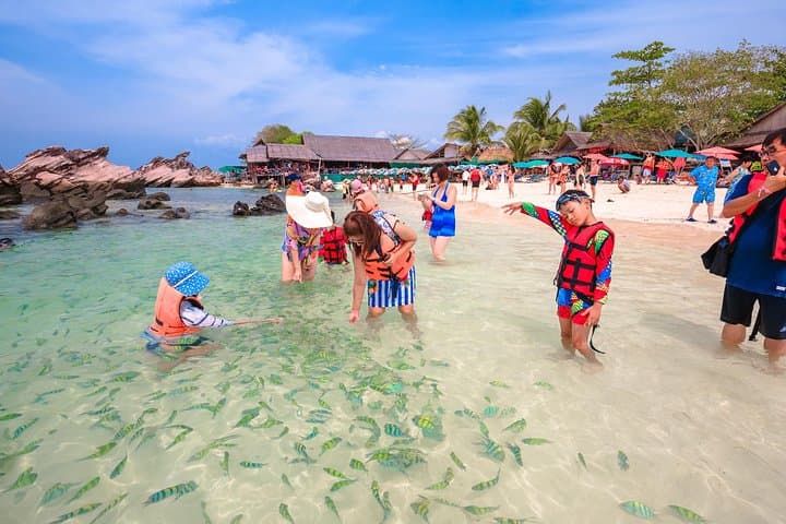 Phi Phi Islands Speedboat Day Trip from Phuket — Snorkel, Khai Island & Coastal Views