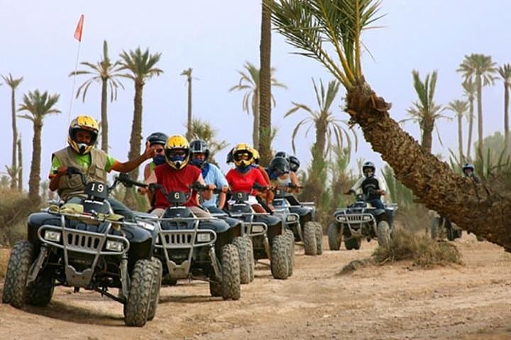 Marrakech Palmeraie Quad Biking and Camel Ride: Half-Day Adventure