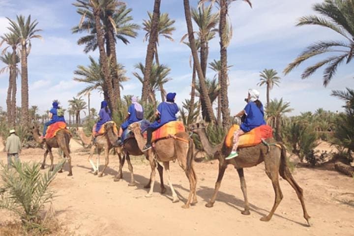 Palm-Grove Camel Ride Near Marrakech — 1-Hour Camel Trek with Hotel Pickup