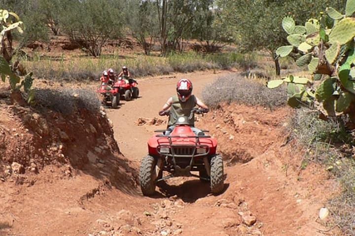 Quad Biking in Marrakech's Palmeraie: ATV Ride Through Palm Groves & Desert Tracks photo 5