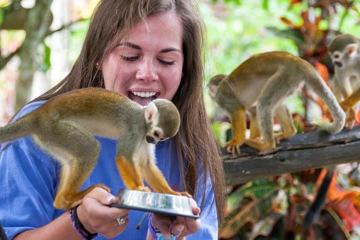 Zipline and Monkeyland Punta Cana: One-Day Adventure with Wildlife Interaction photo 6