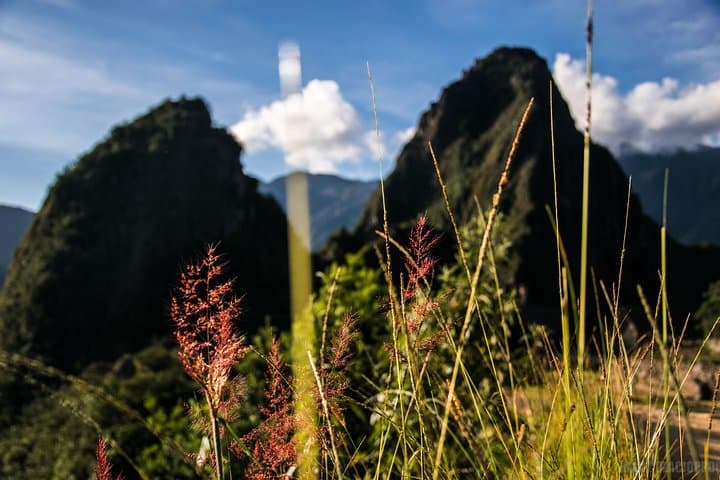 Machu Picchu in a Day: Scenic Train from Cusco to the Lost City photo 3