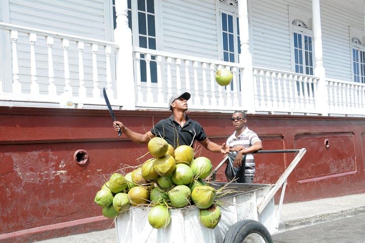 Puerto Plata City Tour — Mount Isabel de Torres Cable Car & Botanical Garden (6 hours) photo 3