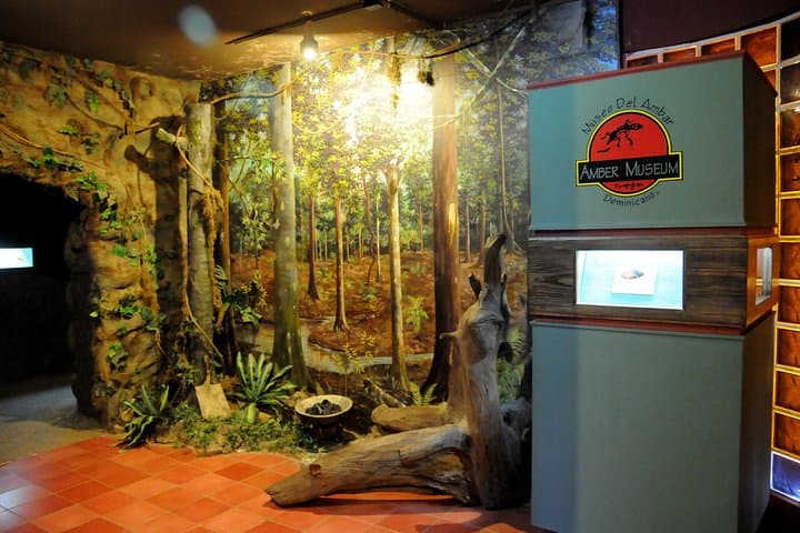 Puerto Plata City Tour — Mount Isabel de Torres Cable Car & Botanical Garden (6 hours) photo 4