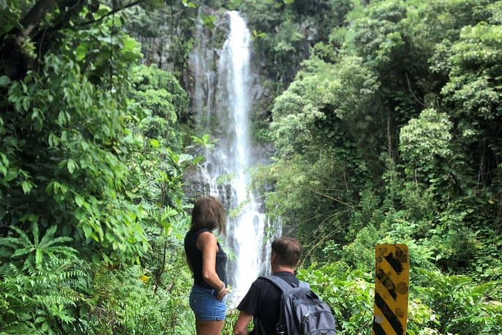 Road to Hana Full-Day Scenic Drive: Black Sand Beaches, Waterfalls & Bamboo Forests