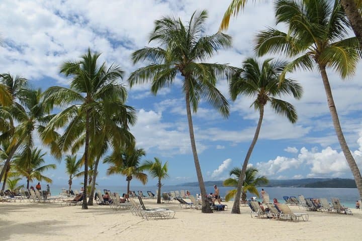 Whale Watching & Bacardi (Cayo Levantado) Island Day Trip from Punta Cana photo 5