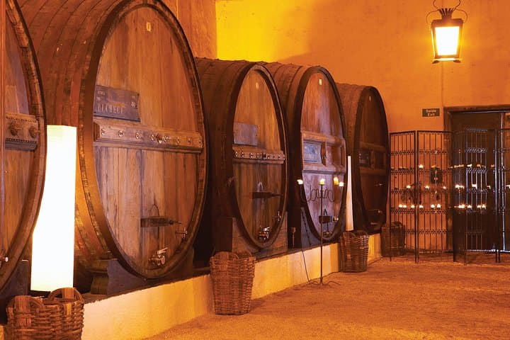 Douro Valley Private Tour: River Cruise, Vineyard Lunch & Wine Tasting from Porto photo 3