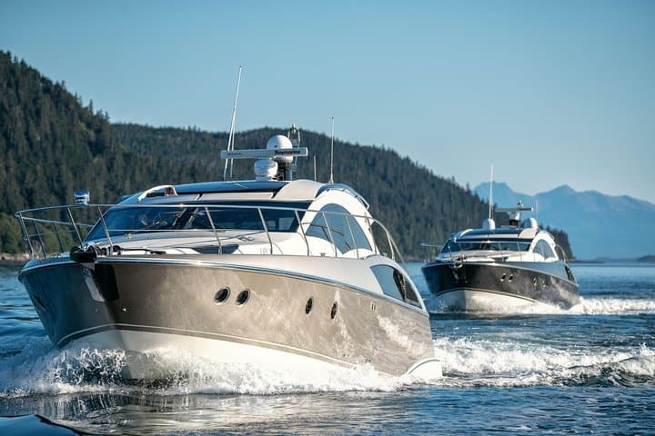 Private Luxury Whale Watch in Juneau: Inside Passage Yacht Experience photo 5
