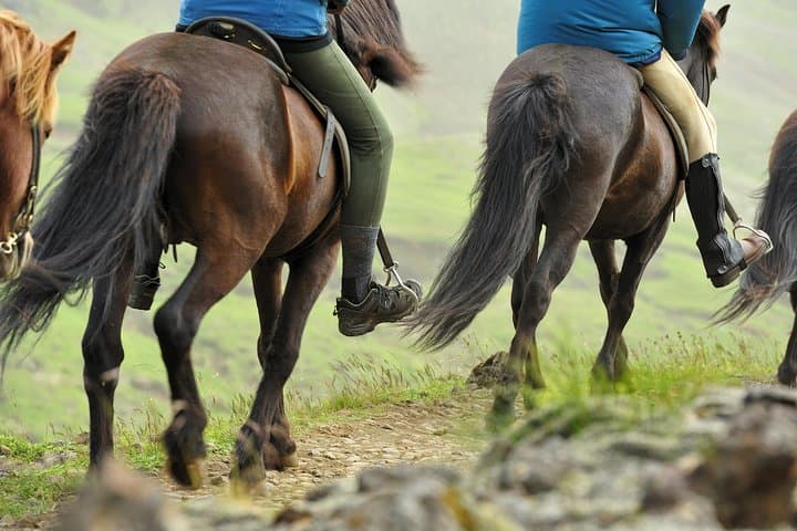 Golden Circle Private Tour with Icelandic Horseback Riding from Reykjavik photo 3