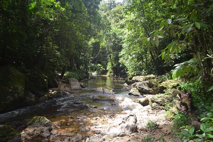 Trinidad Rainforest Hike to 65-Foot Waterfall and Maracas Bay photo 3