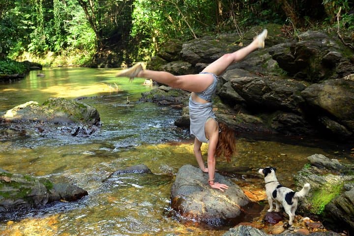 Trinidad Rainforest Hike to 65-Foot Waterfall and Maracas Bay photo 4