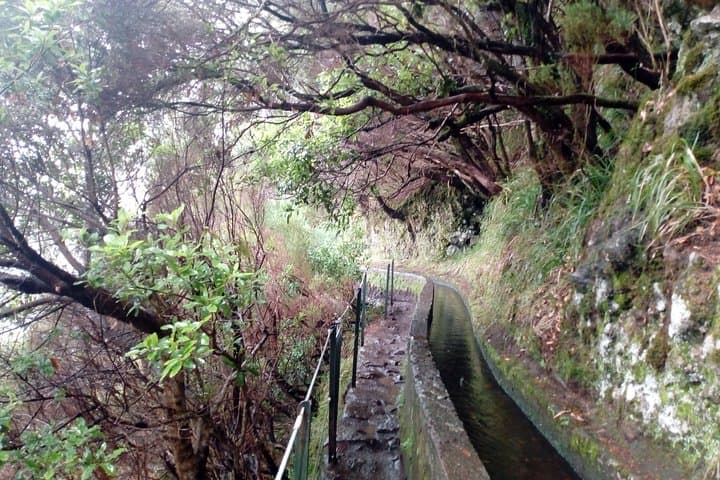Levada 25 Fountains (PR6) — Rabaçal Hike to Risco Waterfall, Madeira photo 4