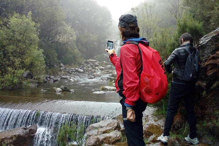 Levada do Alecrim Walk: Easy 8km Levada Hike from Funchal with Private Transfer photo 3