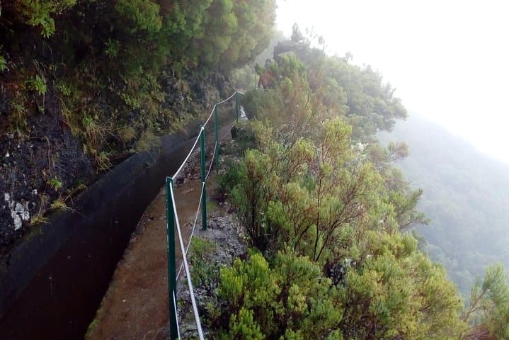 Levada do Alecrim Walk: Easy 8km Levada Hike from Funchal with Private Transfer photo 4