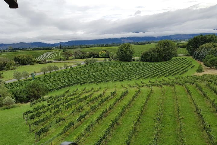 Full-Day Marlborough Catamaran Cruise and Wine Tour from Picton photo 4