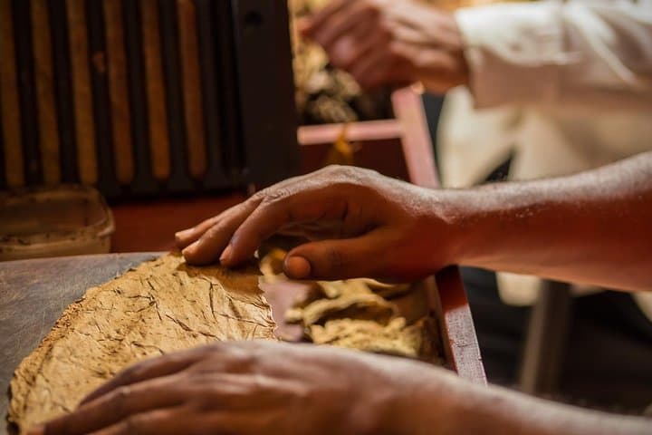 Inside a Dominican Cigar Factory: Puerto Plata Tour with Coffee & Mamajuana photo 1