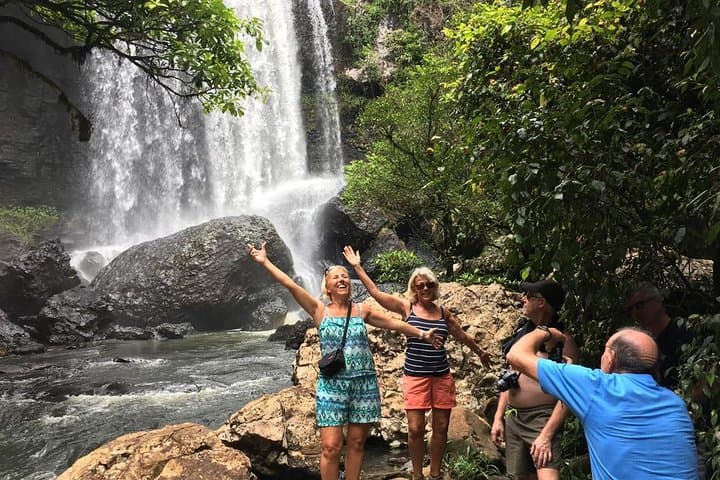 Blue Mountains Insider Day Tour from Sydney — Jamison Valley Walks, Wildlife & Hidden Lookouts photo 5