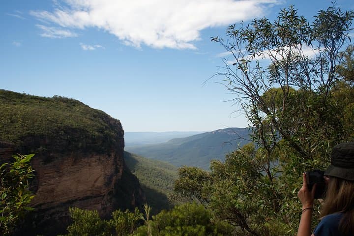 Blue Mountains Insider Day Tour from Sydney — Jamison Valley Walks, Wildlife & Hidden Lookouts photo 3