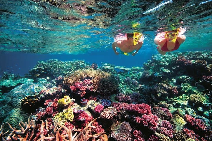 Rok & Haa Islands Speedboat Day Trip from Phuket — Snorkel Pristine Reefs photo 6